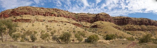 http://australianmammals.org.au/files/351_judy_dunlop_quoll_pilbara_habitat.jpg