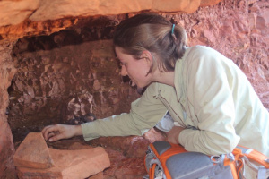 Linette_Karijini 2015 stick-nest rat