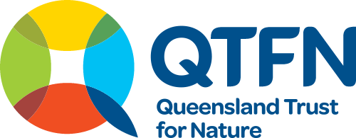 QTFN