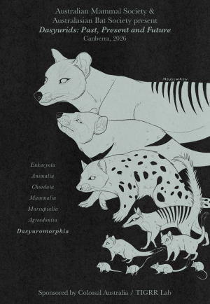 Dasyuromorphia v2 png (2)